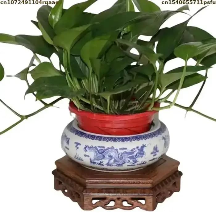 Support pour Bonsaï, Étagère Décorative pour Plantes
