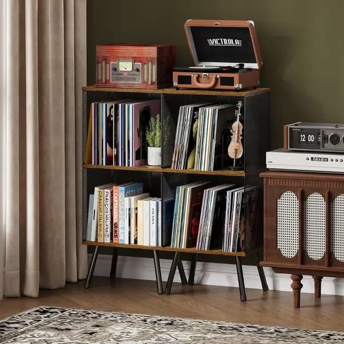 Étagère de rangement pour disques vinyles à 2 niveaux