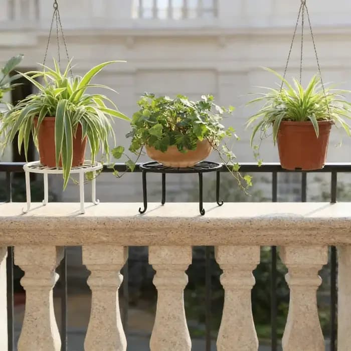 Support à fleurs universel multi-niveaux en fer forgé pour plantes succulentes et radis verts, idéal