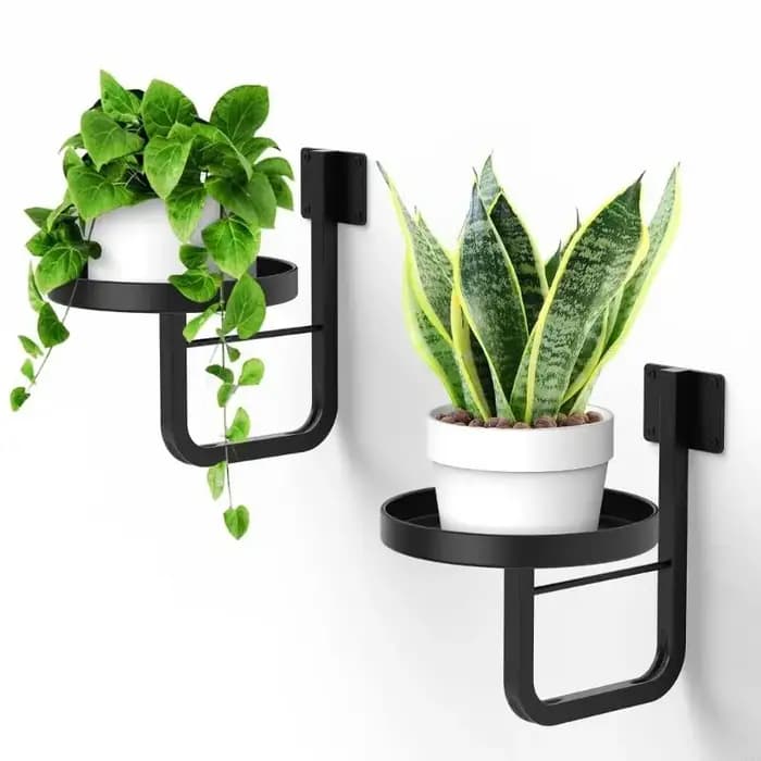 Étagère murale en métal pour plantes