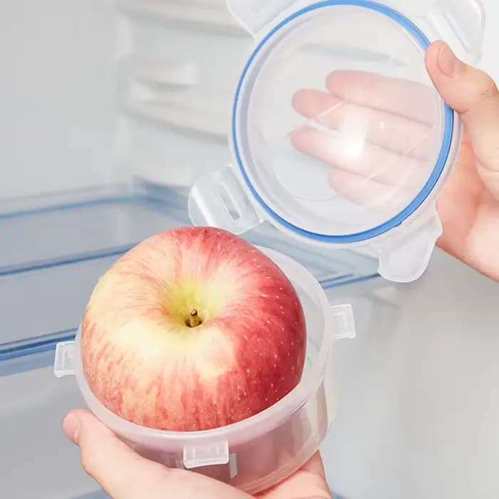 Boîte d'économie de nourriture réutilisable