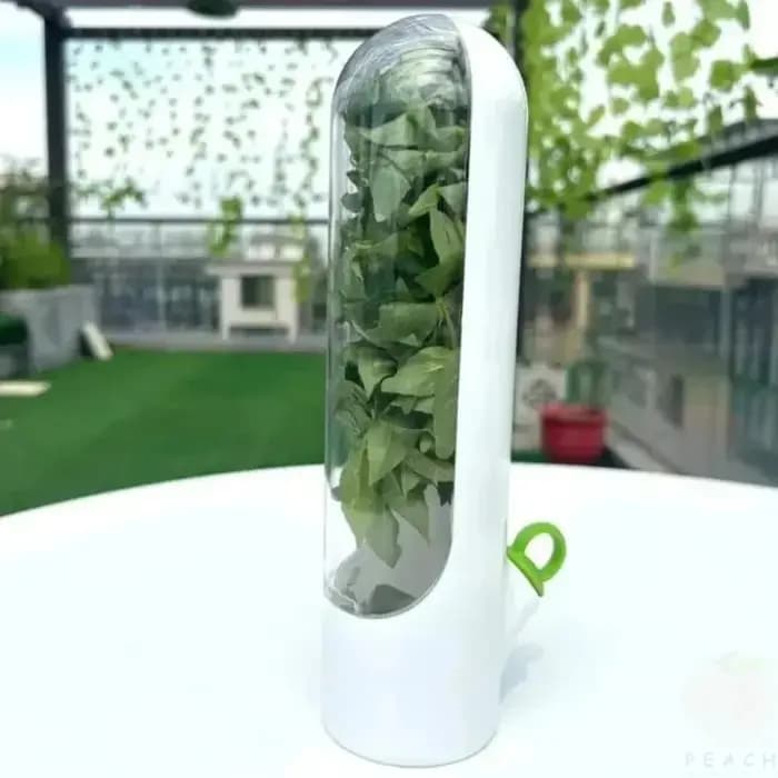Boîte de conservation des légumes à la vanille