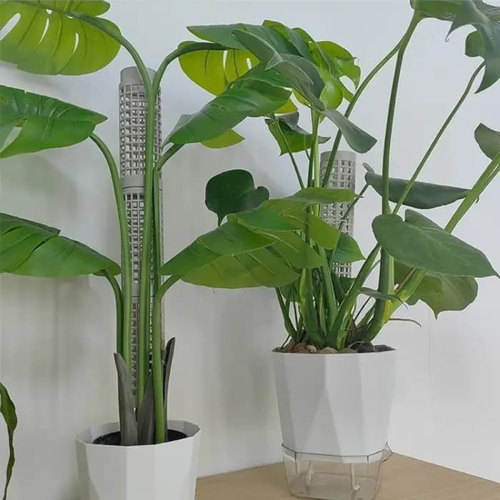 Colonnes verticales modulaires blanches pour plantes