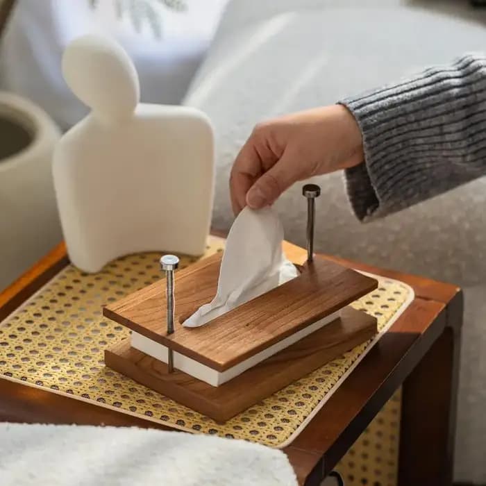 Boîte à mouchoirs créative en bois massif, boîte en papier d'art de bureau pour salon, décoration intérieure de pièce, ornements, organisateurs de rangement pour chambre