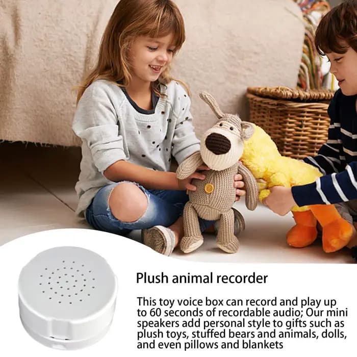 Boîte vocale en peluche réutilisable avec enregistreur de messages vocaux de 60 secondes et fonction d'ajout de style personnel