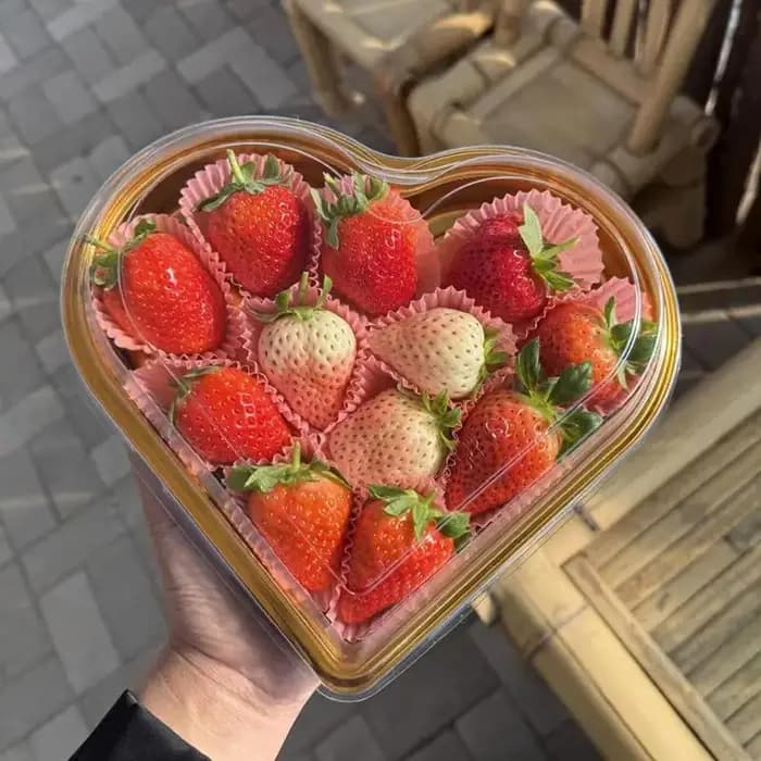 Boîtes de rangement pour collations en forme de cœur avec couvercle