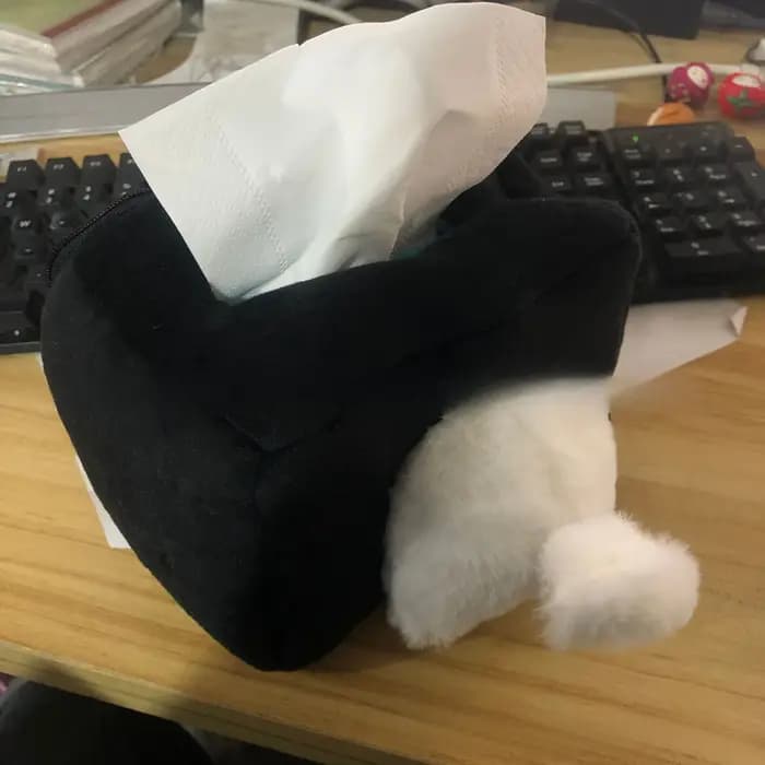 Boîte à mouchoirs en forme de chaton mignon et coquin