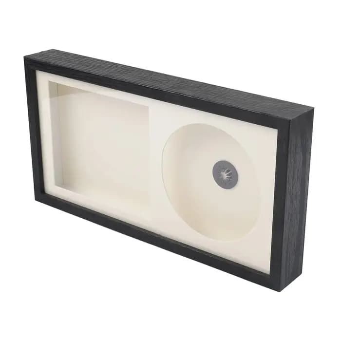 Support d'affichage pour CD avec protection anti-poussière transparente pour un rangement et une présentation sécurisés