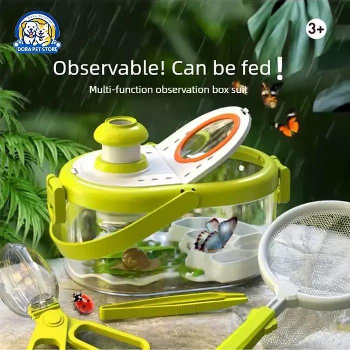 Boîte d'observation d'insectes