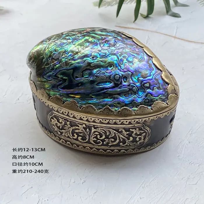 Boîte de rangement en coquille d'ormeau naturel, artisanat de richesse exquis, accessoire Photo créa