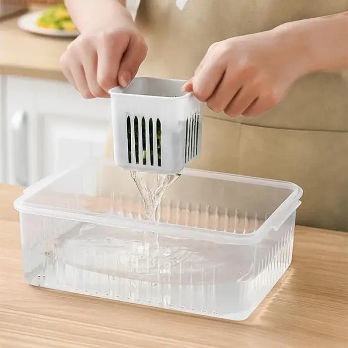 Boîte de conservation des aliments pour réfrigérateur, boîte de conservation des aliments, gingembre