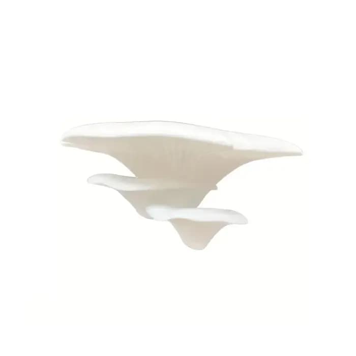 Étagère de rangement murale en plastique imprimée en 3D, petite étagère en forme de champignon, gain