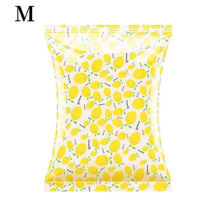 Sac de rangement sous vide