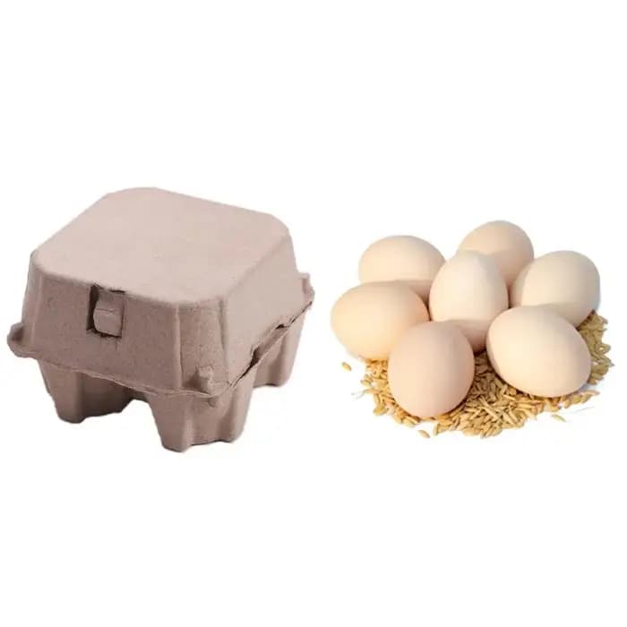 Lot de 10 boîtes à œufs créatives en pâte à papier à 4 compartiments