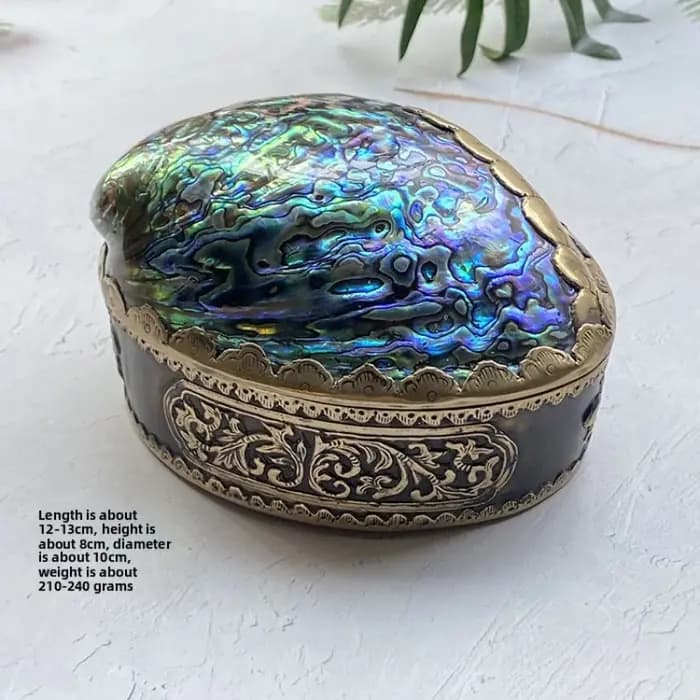 Boîte de rangement en coquille d'ormeau naturel