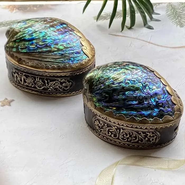 Boîte de rangement en coquille d'ormeau naturel