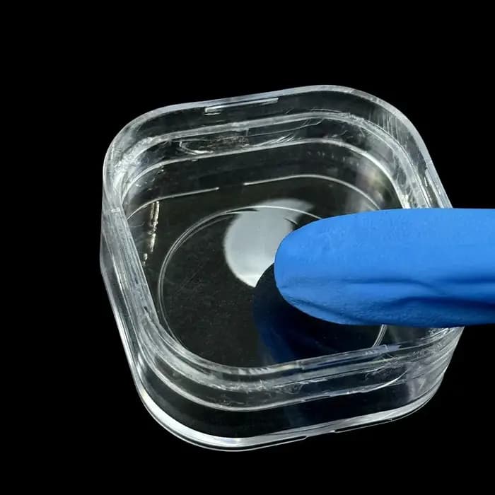 Boîte à dents pour prothèses dentaires
