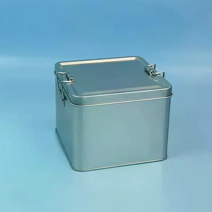 Boîte rectangulaire en métal, style ancien, pour rangement et emballage de gâteaux, durable avec couvercle et boucle, organisateur