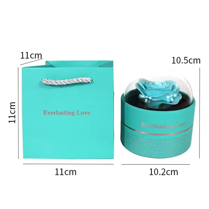 Magnifique boîte cadeau cylindrique en acrylique transparente pour bijoux : collier