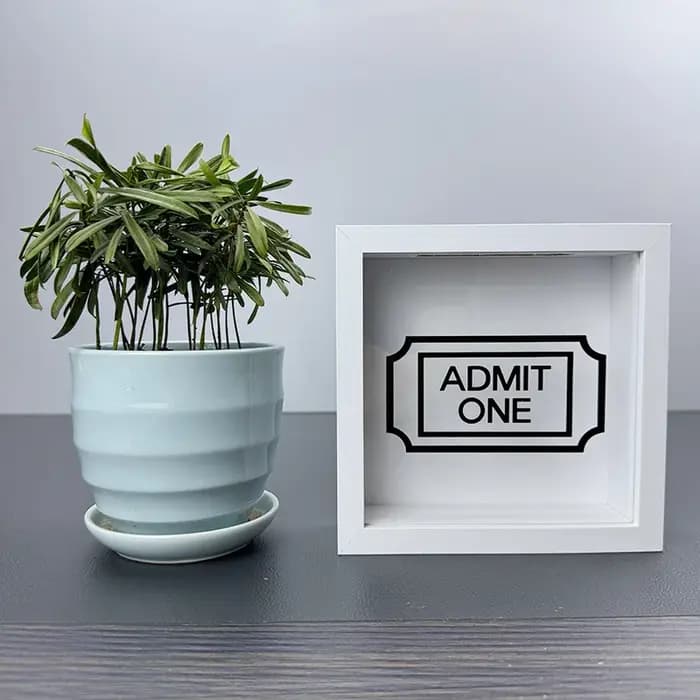 Boîte d'Ombre avec Fente pour Billets de Voyage