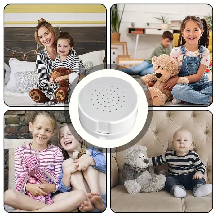 Boîte vocale en peluche réutilisable avec enregistreur de messages vocaux de 60 secondes et fonction d'ajout de style personnel