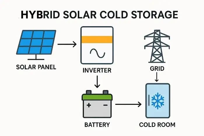 Chambre froide solaire préfabriquée à montage rapide pour la pêche et les produits de la mer – Personnalisable