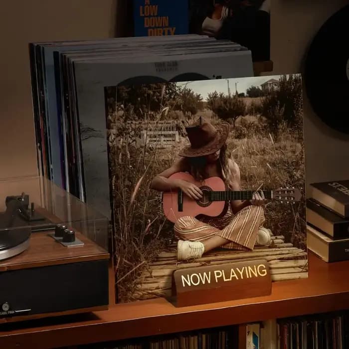 Support de disques vinyles en bois
