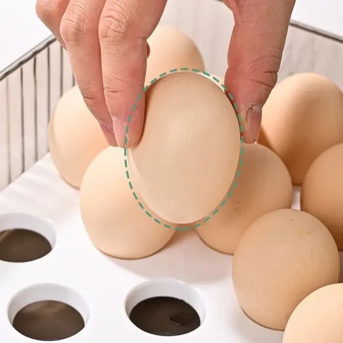 Boîte de rangement pour réfrigérateur de qualité alimentaire