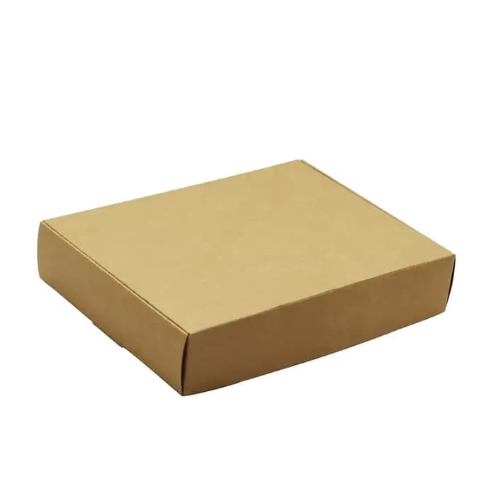 Boîtes en papier d'emballage pliantes simples de Style avion