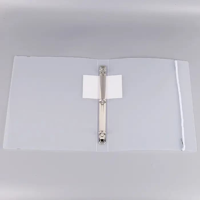 Organisateur de documents transparent pour classeur à feuilles mobiles