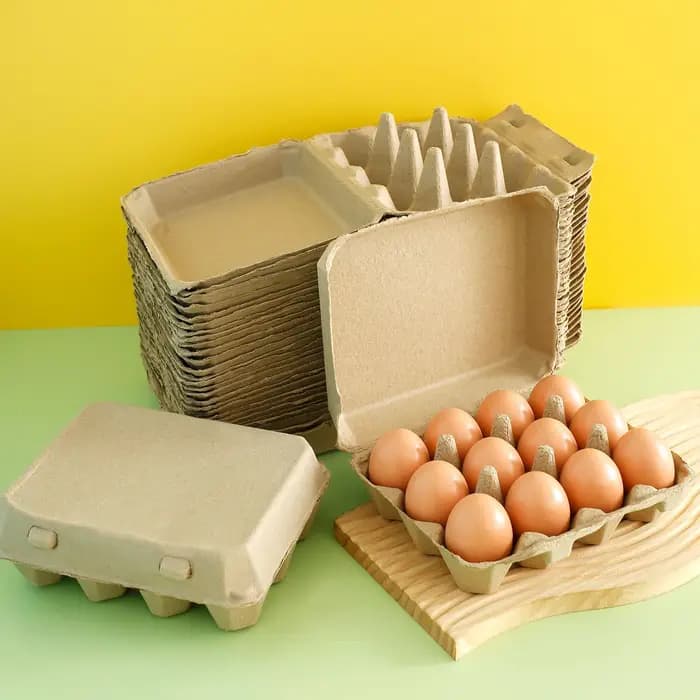 Plateaux de freins à œufs polyvalents pour la cuisine