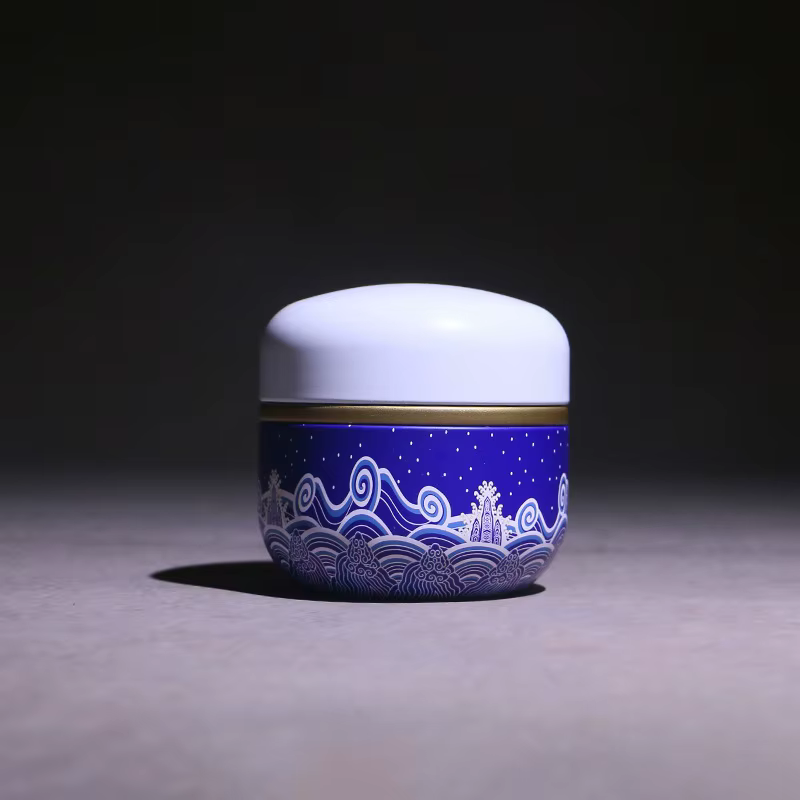 Boîte de rangement japonaise en métal pour thé et café, conteneur d'épices, mini caddie de stockage,