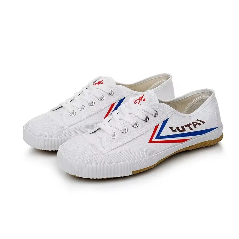 Chaussures Wushu chinoises en cuir véritable Taolu Kungfu, chaussures d'arts martiaux, chaussures Ta