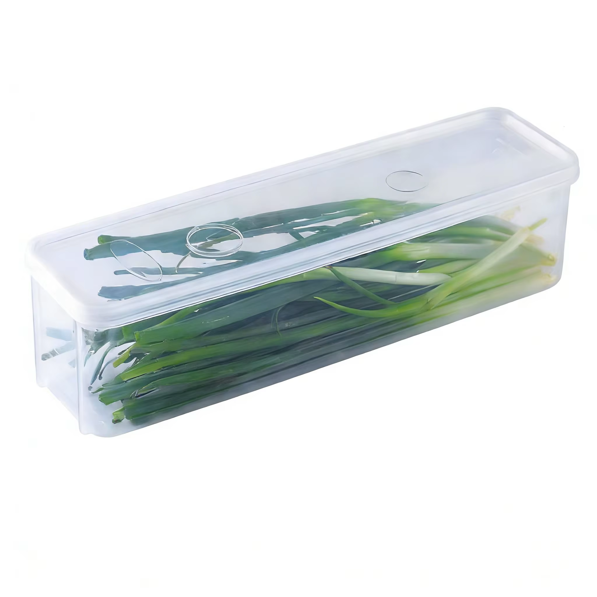 Boîte de conservation pour oignon vert frais, en plastique, avec couvercle, pour réfrigérateur, pour