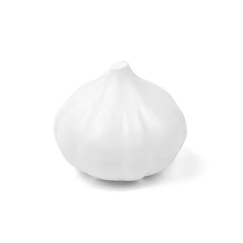 Boîte alimentaire organisateur créatif bac à légumes récipients oignon ail avocat tomates citron ver