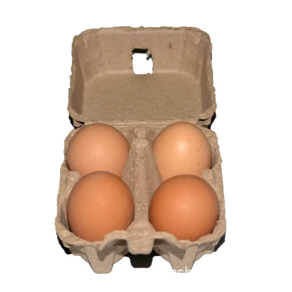 Lot de boîtes de rangement en papier kraft pour œufs, plusieurs boîtes à œufs jetables pour réfrigér