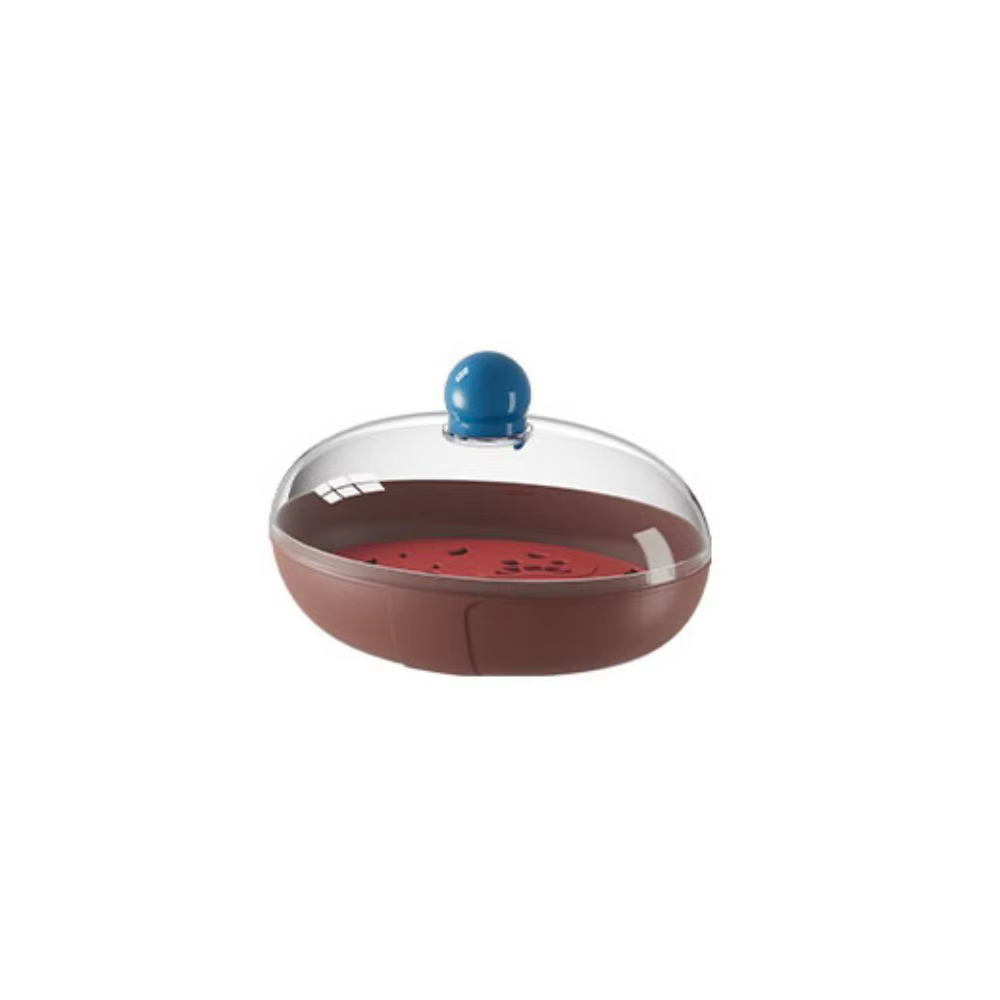 Organisateur de savon double couche avec drain, boîte à savon étanche et anti-poussière, porte-savon