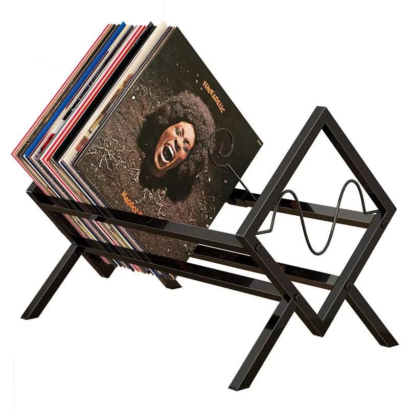 Porte-disques en vinyle pour livres de bureau, étagères pour magazines, présentoir en métal pour dis
