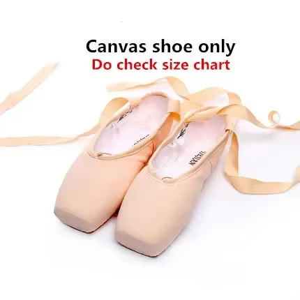 Point chaussure danse Ballet dîner Satin supérieur semelle en cuir dur professionnel Pointe chaussur