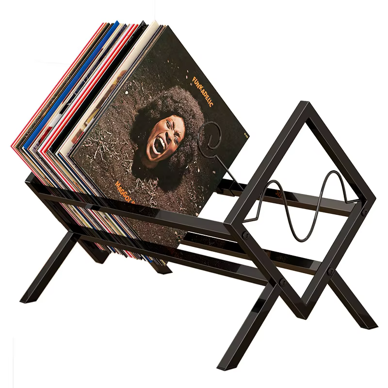 Porte-disques en vinyle pour livres de bureau, étagères pour magazines, présentoir en métal pour dis