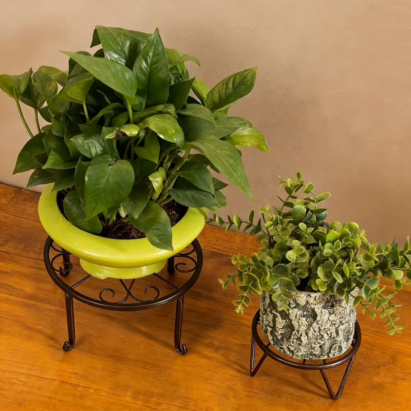Support à fleurs universel multi-niveaux en fer forgé pour plantes succulentes et radis verts, idéal