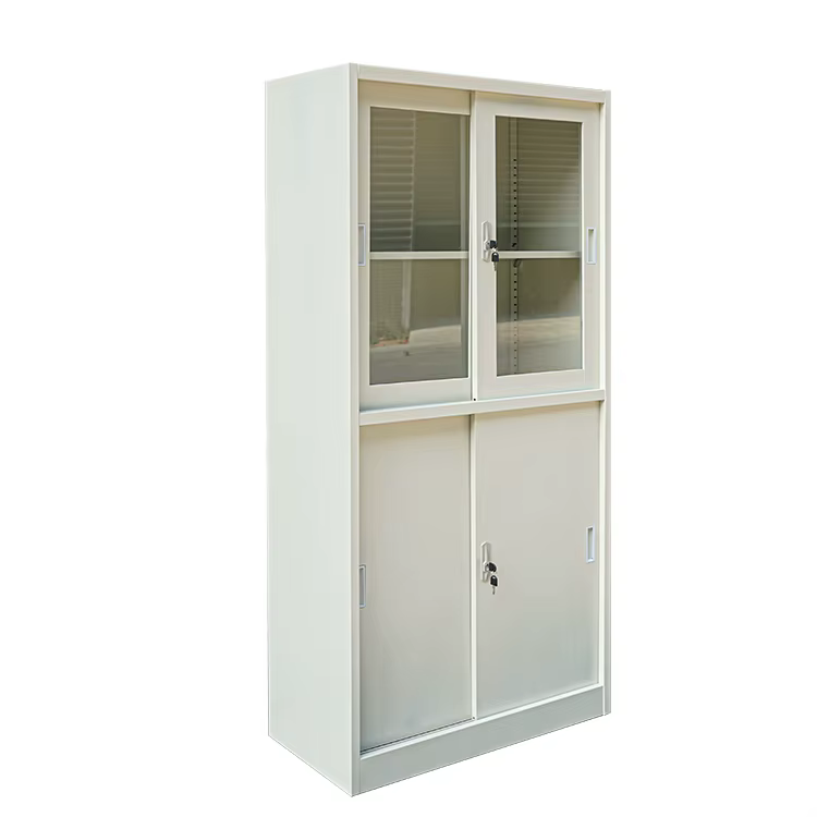 Classeur en acier avec porte en verre, armoire de laboratoire, grand placard en acier, prix, offre s